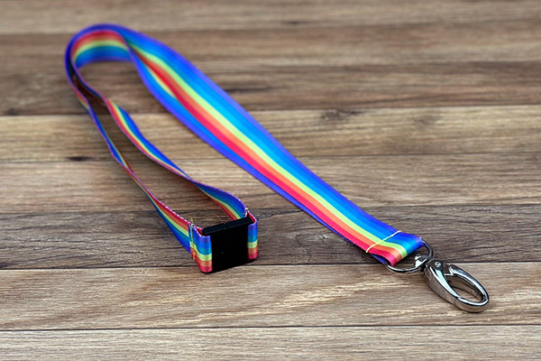 Lanyards                       Onbedrukt Regenboog